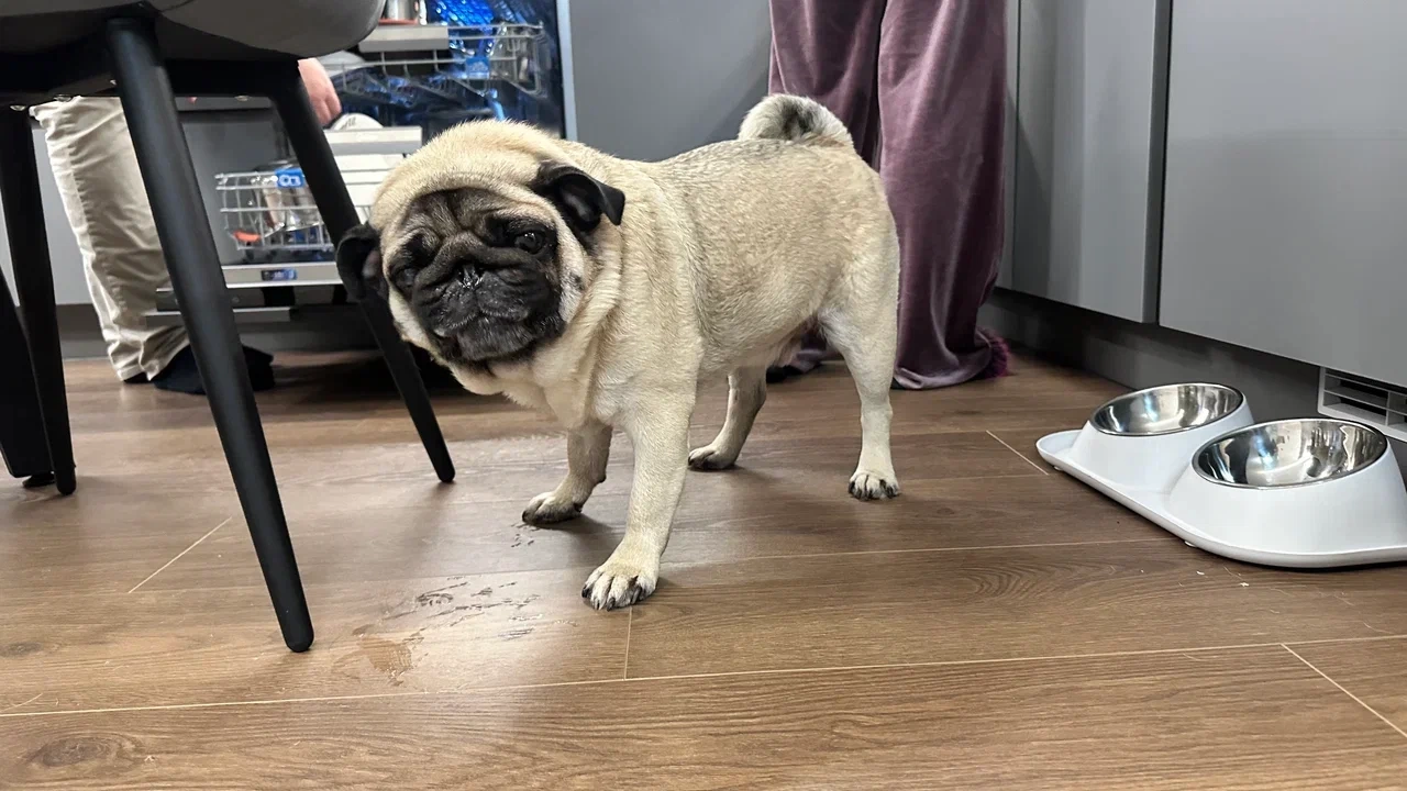 Водостойкий ламинат Stone Floor